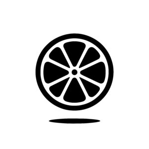 Citrus Fruit Segment