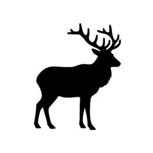 Alert Stag Profile