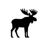Gentle Giant Moose