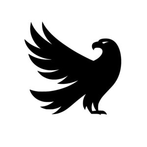 Soaring Raven Eagle