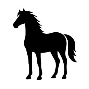 Elegant Horse Stance
