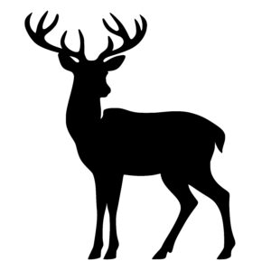 Alert Stag Profile