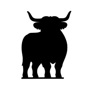 Mighty Bull Stance