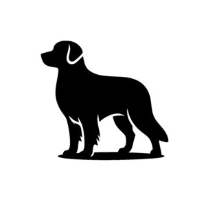 Ready Retriever Silhouette