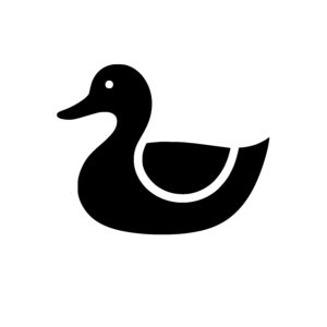 Curious Duck Friend