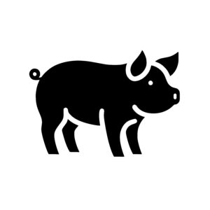 Alert Little Pig