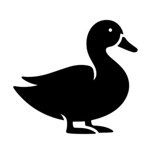 Curved Neck Duck