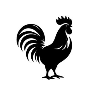 Alert Rooster Stance