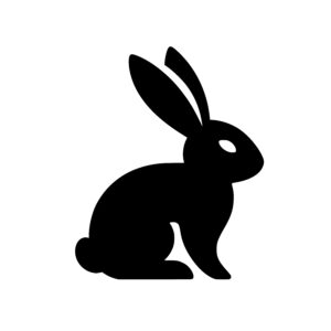 Curious Rabbit Profile