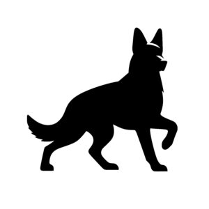 Confident German Shepherd