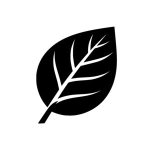 Pointed Leaf Design
