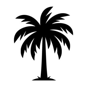 Tall Tropical Palm