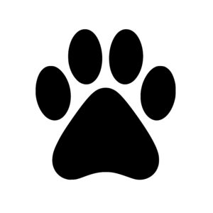 Paw Patrol Outline