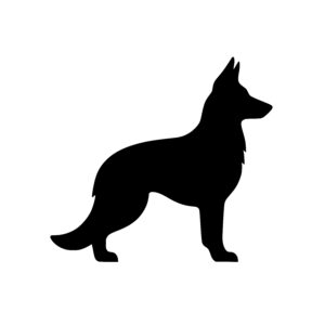 Agile Shepherd Outline