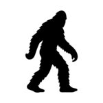 Mysterious Forest Giant
