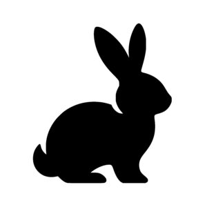 Curious Rabbit Outline