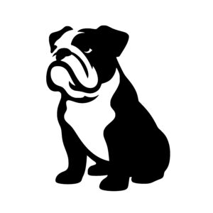 Calm Bulldog Profile