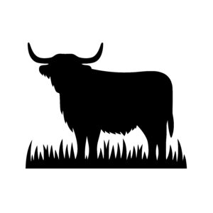 Mighty Highland Cow