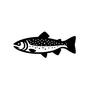 River Trout
