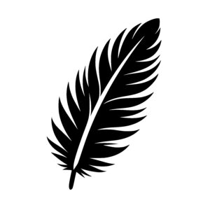 Feathers Simple Beauty