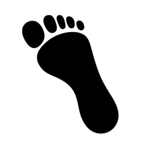 Adult Footprint Shape