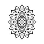 Radiant Petal Burst
