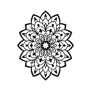 Petal Radiance Circle
