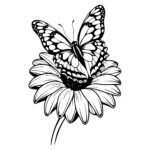 Butterfly Flower Harmony