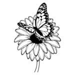 Daisy Butterfly Companion