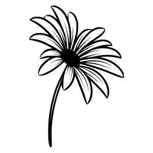 Radiant Daisy Center