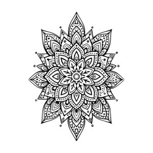 Petal Pattern Harmony
