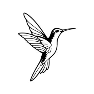 Hovering Hummingbird