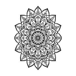 Radiant Petal Mandala
