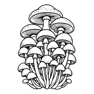 Mushroom Family Gathering