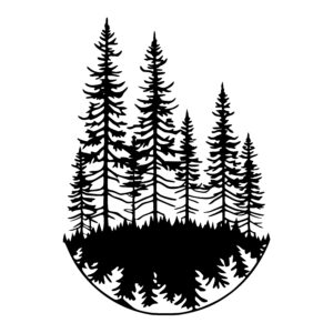 Forest Pine Grove