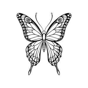 Detailed Winged Beauty
