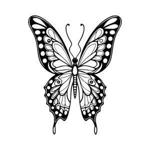 Symmetrical Butterfly Beauty