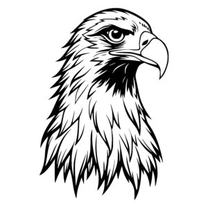 Fierce Eagle Gaze