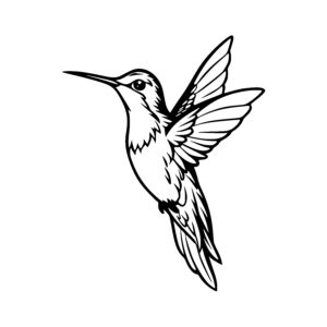 Speedy Flight Hummingbird