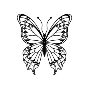 Detailed Butterfly Design