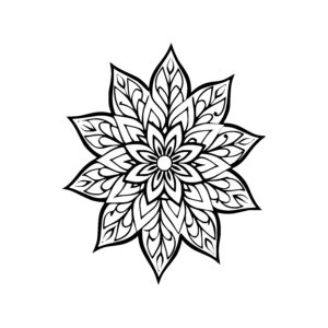 Radiant Petal Star