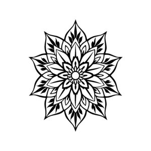 Radiant Petal Burst
