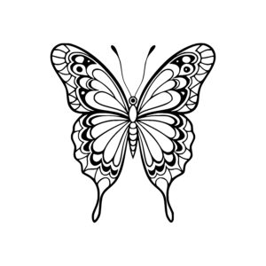 Beautiful Butterfly Creation