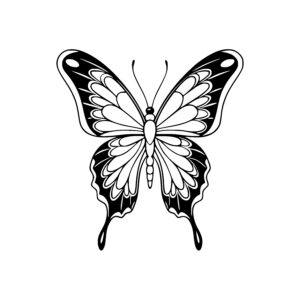 Winged Wonder