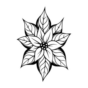 Petal Starburst