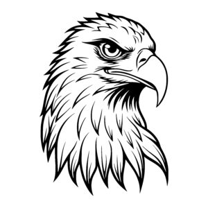 Majestic Eagle Head