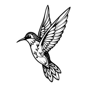 Feathered Flight Hummingbird