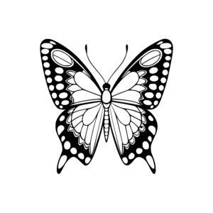 Circular Winged Butterfly