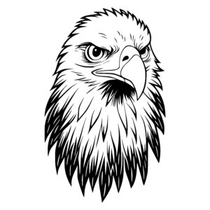 Fierce Eagle Gaze