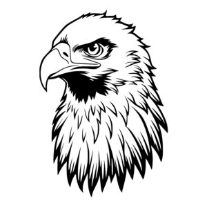 Fierce Eagle Gaze